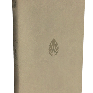 Biblia para la familia